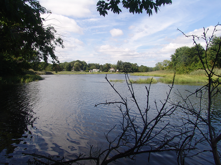  An estimated 300,000 gallons of raw sewage was recently discharged into Buckeye Brook when a 40-year-old sewer line collapsed. The brook drains into Mill Cove. 