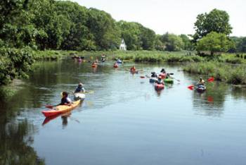 On The Paddle