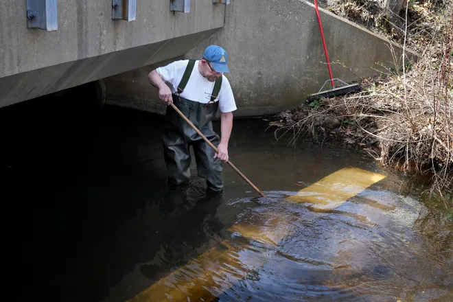 cleaning fish count boards