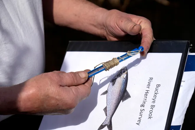 fish count book